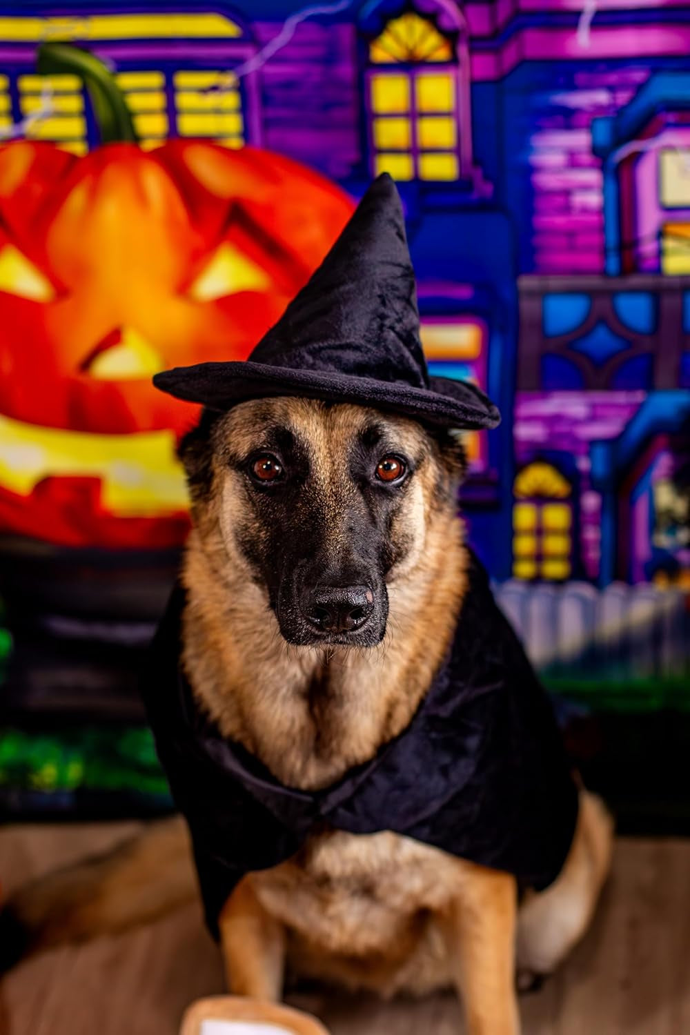 Halloween Witch Cape and Hat Dog Costume (Large)