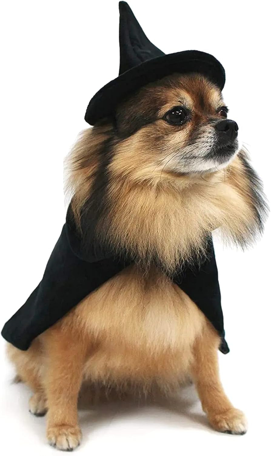 Halloween Witch Cape and Hat Dog Costume (Large)