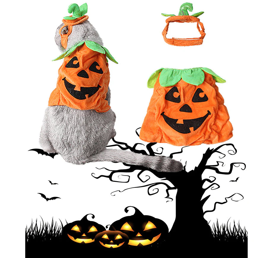 Pet Pumpkin Leaf Costume - Creative Halloween Cat Cosplay Clothing