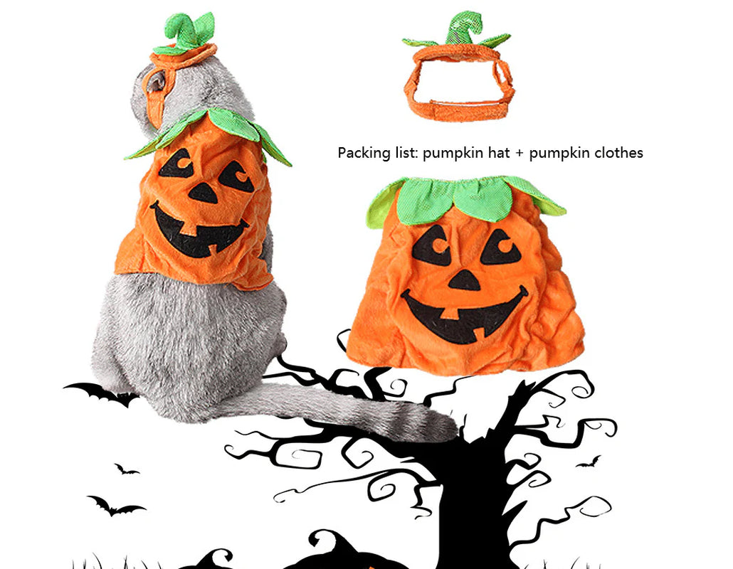 Pet Pumpkin Leaf Costume - Creative Halloween Cat Cosplay Clothing