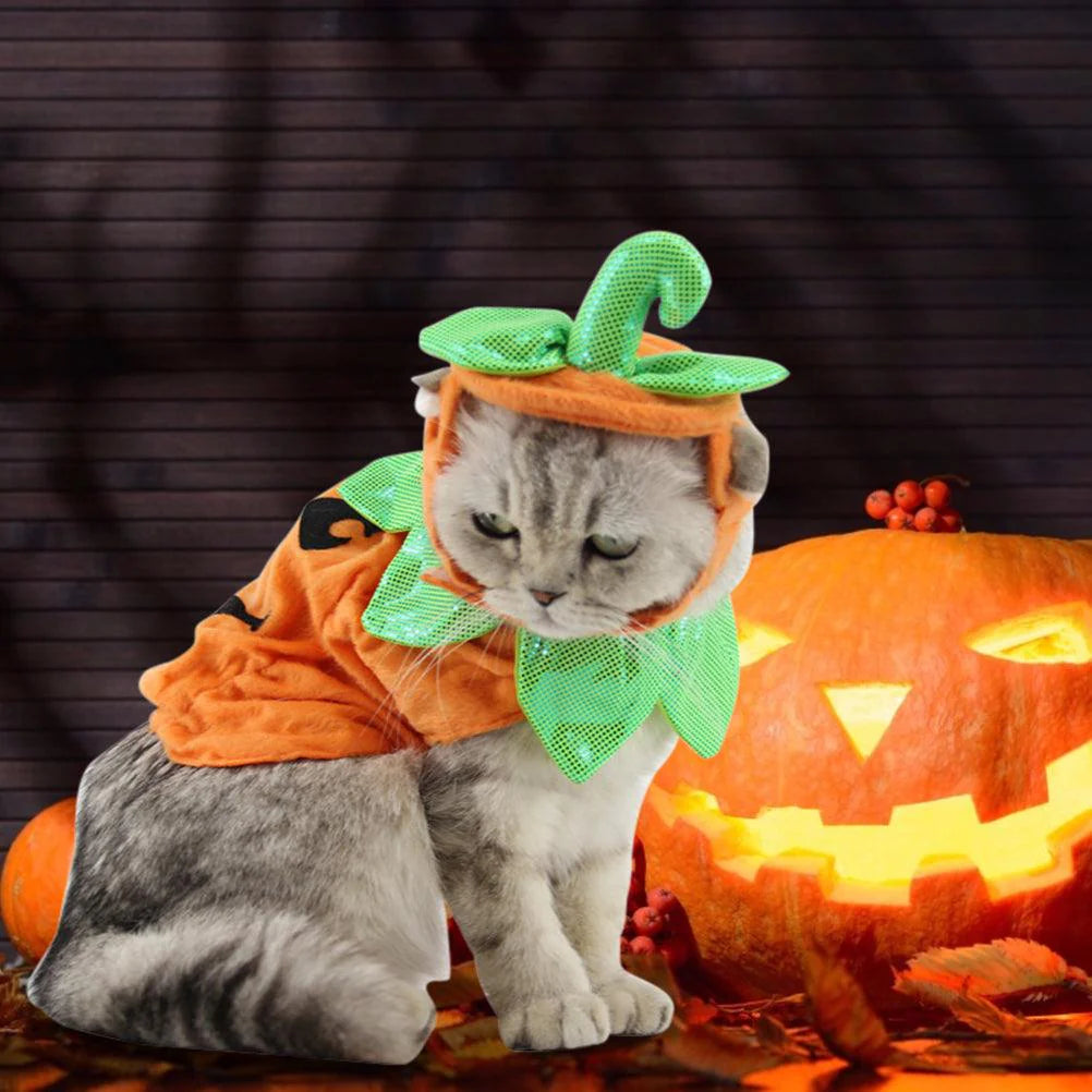 Pet Pumpkin Leaf Costume - Creative Halloween Cat Cosplay Clothing