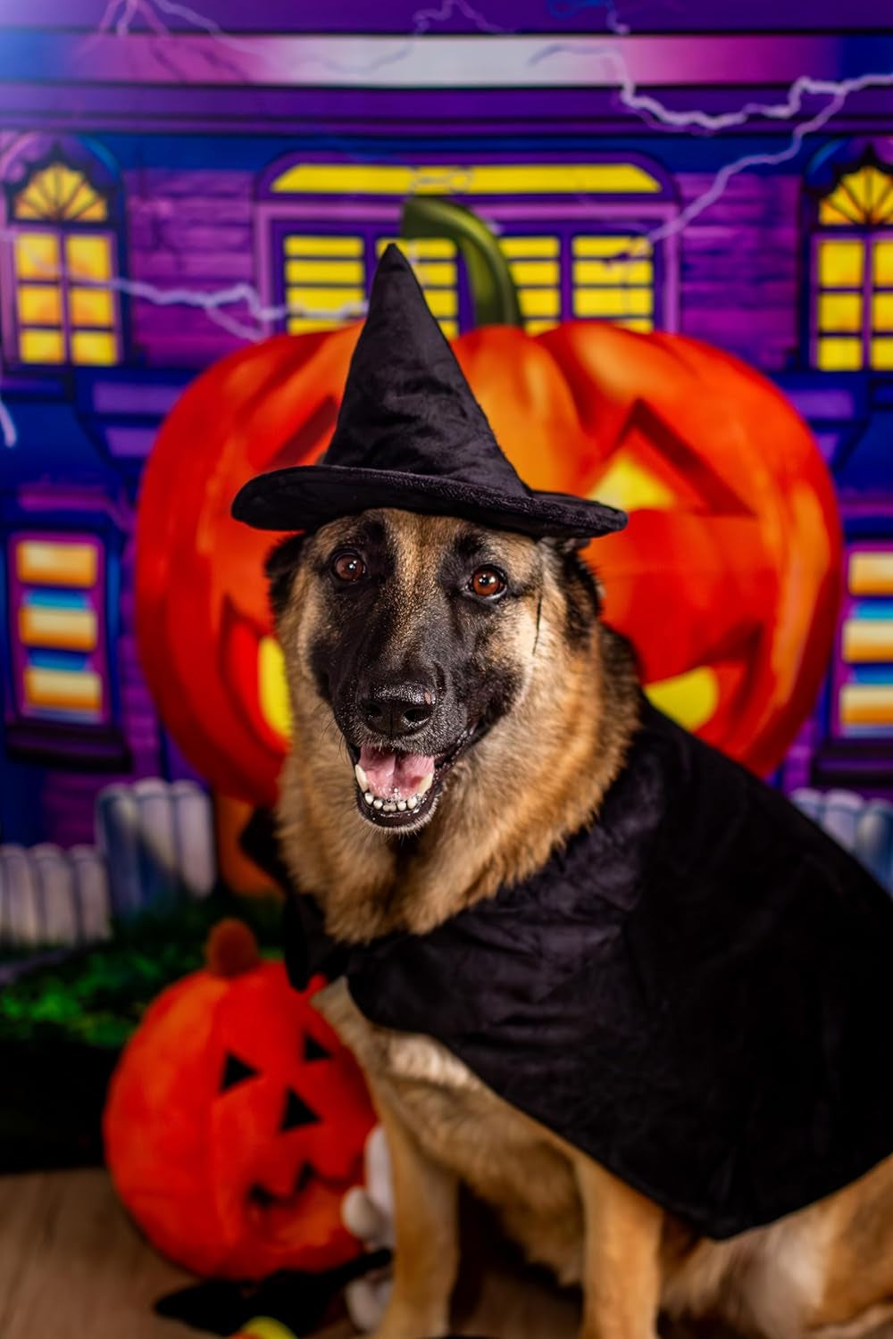 Halloween Witch Cape and Hat Dog Costume (Large)