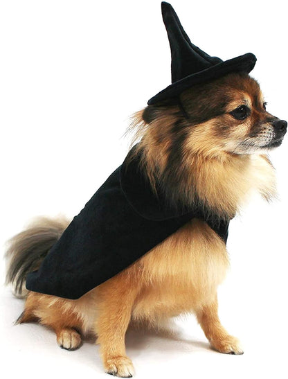 Halloween Witch Cape and Hat Dog Costume (Large)