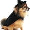 Halloween Witch Cape and Hat Dog Costume (Large)