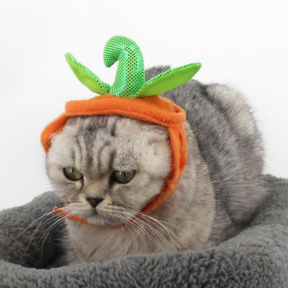 Pet Pumpkin Leaf Costume - Creative Halloween Cat Cosplay Clothing