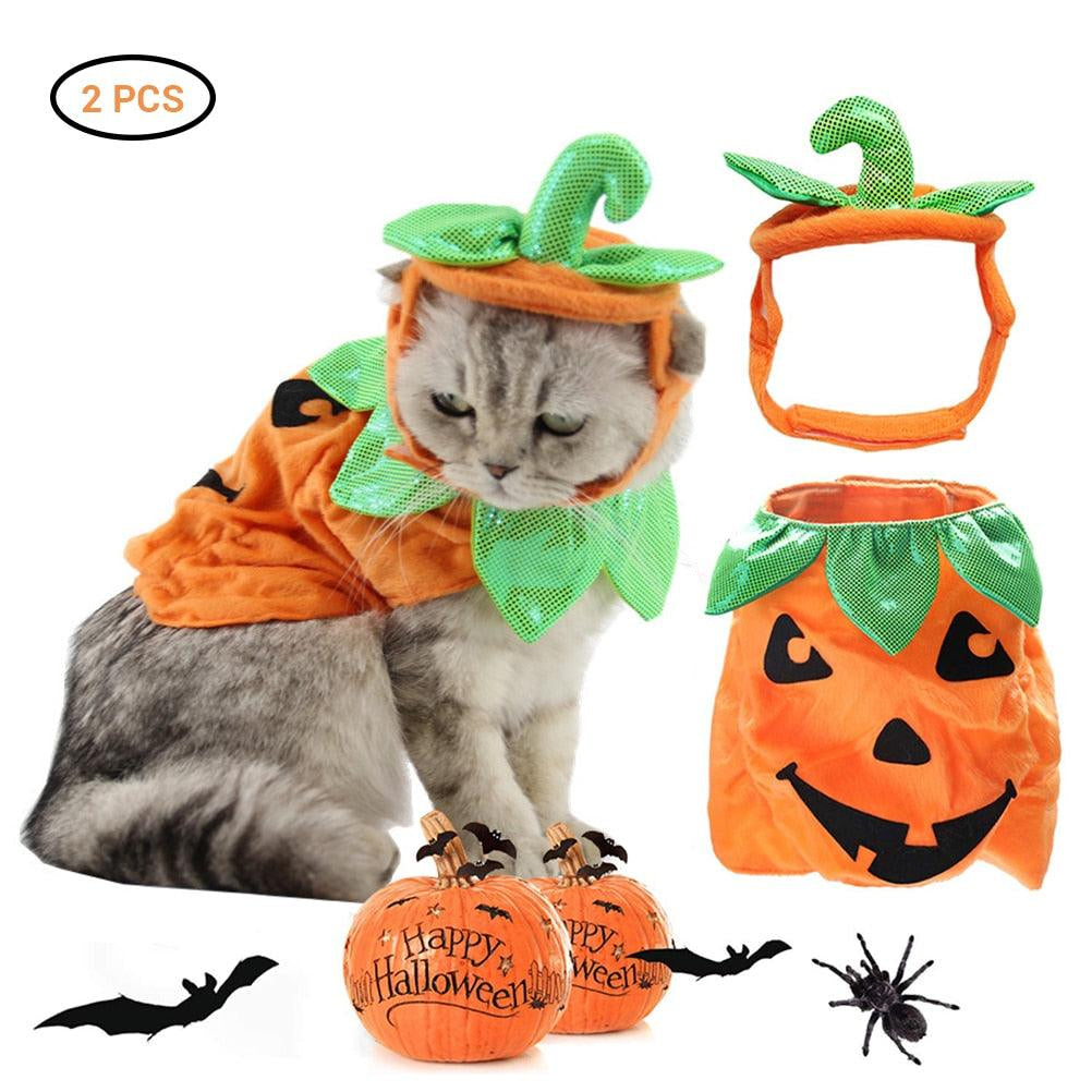 Pet Pumpkin Leaf Costume - Creative Halloween Cat Cosplay Clothing