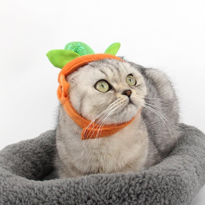 Pet Pumpkin Leaf Costume - Creative Halloween Cat Cosplay Clothing