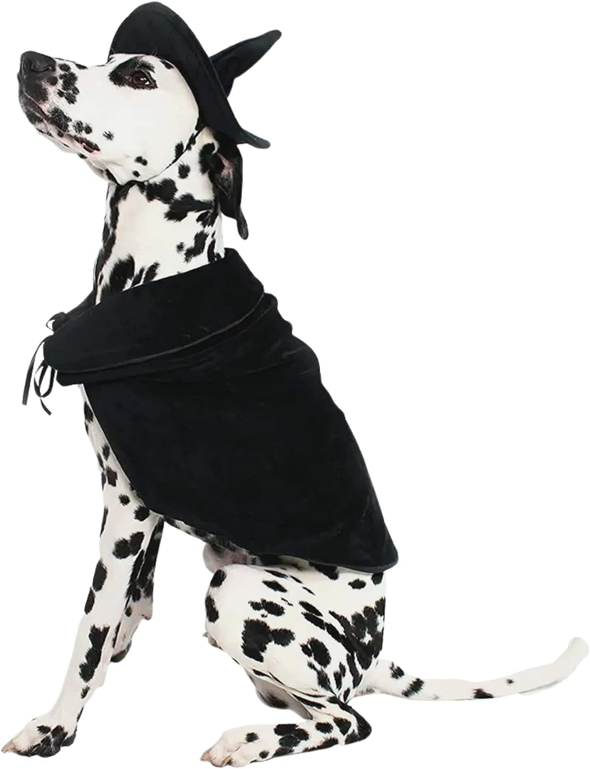 Halloween Witch Cape and Hat Dog Costume (Large)