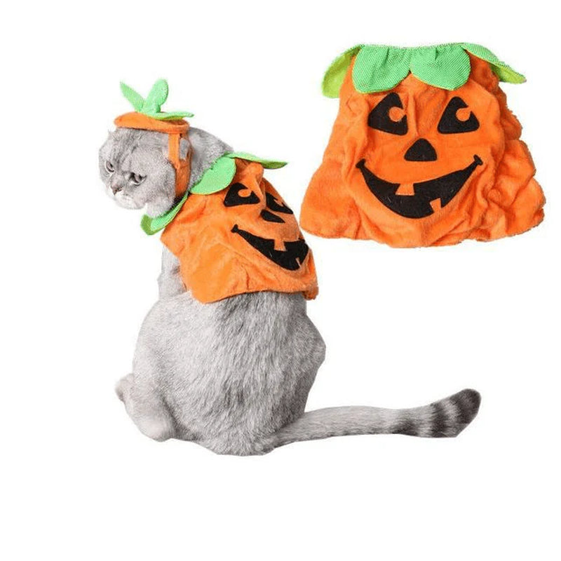 Pet Pumpkin Leaf Costume - Creative Halloween Cat Cosplay Clothing